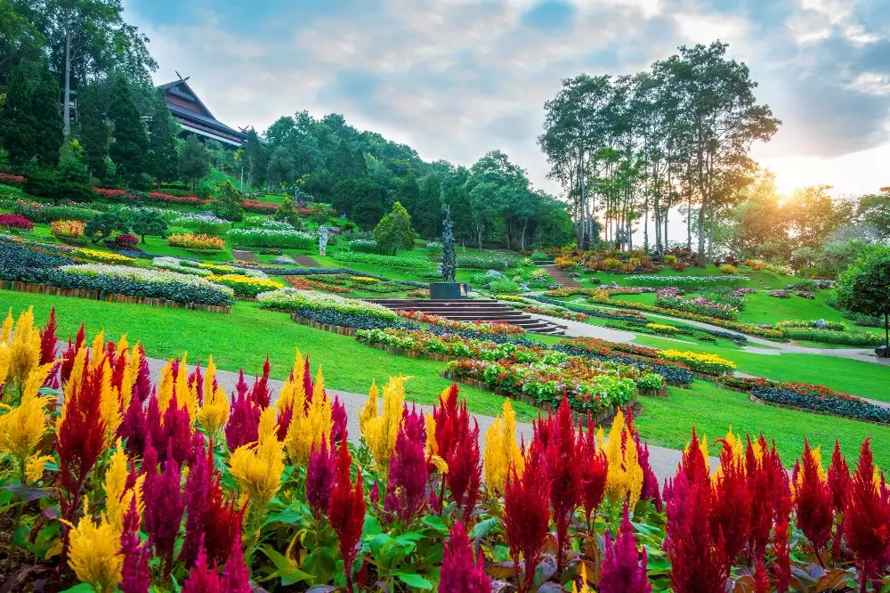 what-is-considered-early-summer-for-gardening-2