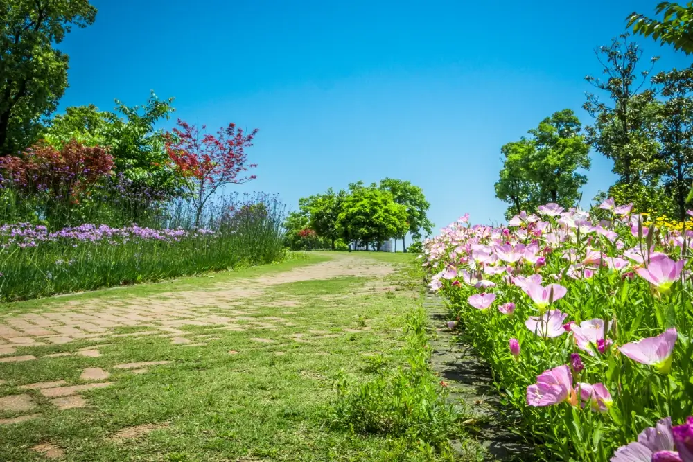 what-is-considered-early-summer-for-gardening-3