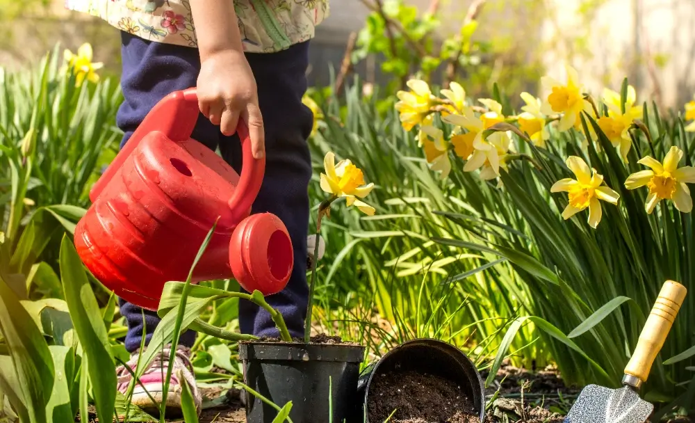 what-is-considered-early-summer-for-gardening-4